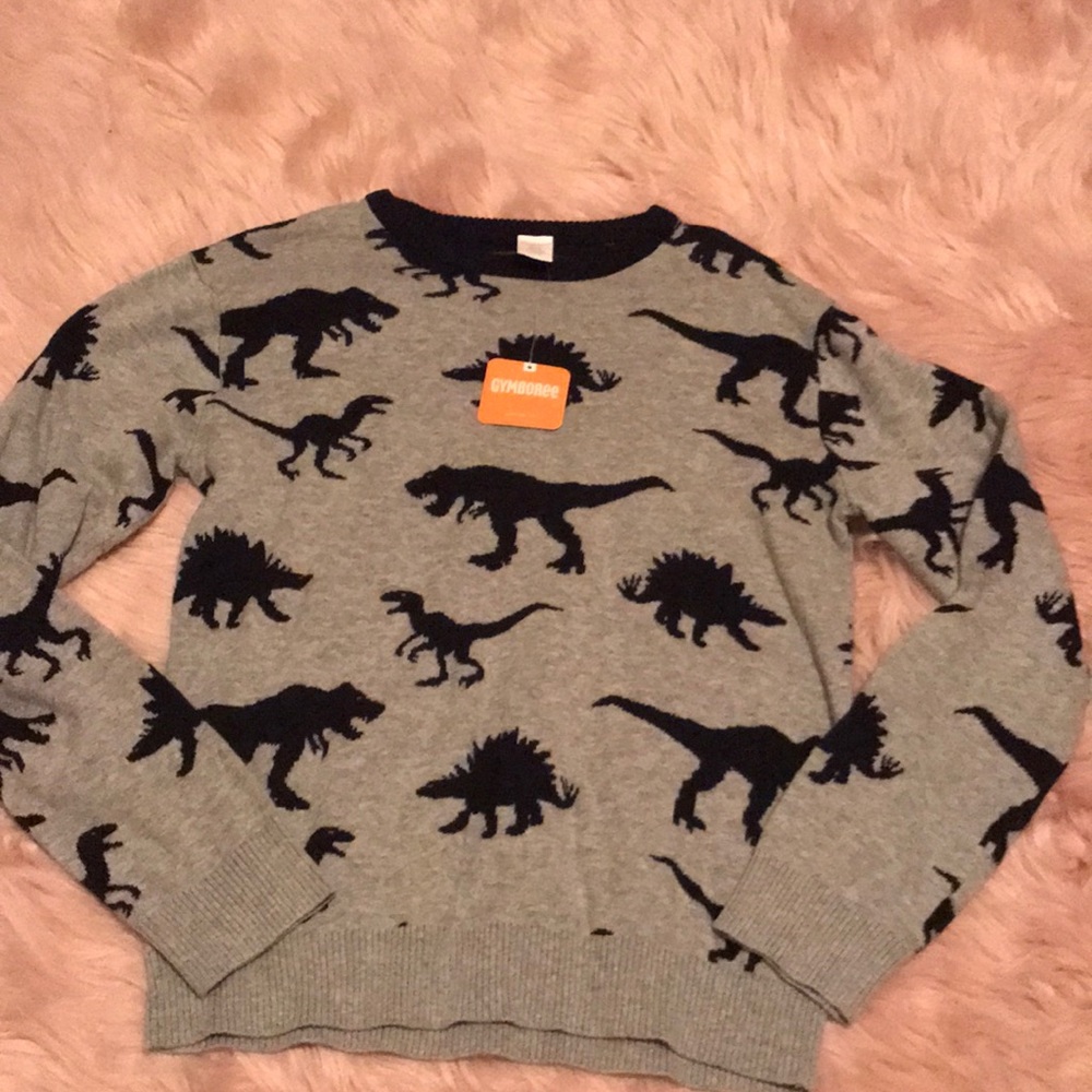 Kids Dinosaur Gymboree sweater pullover XL14